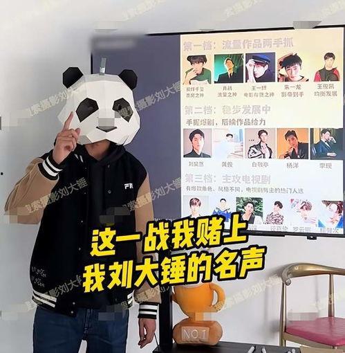 大锤爆料最新视频大全,揭秘娱乐圈幕后真相